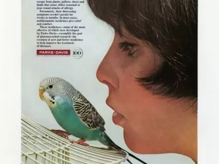 Advertisement