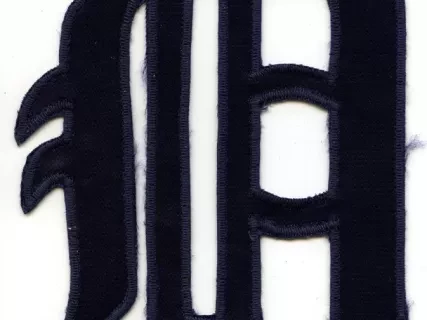 Patch, Insignia