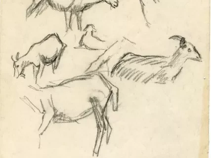Drawing