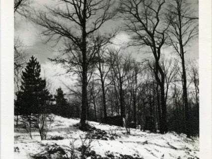 Print, Photographic