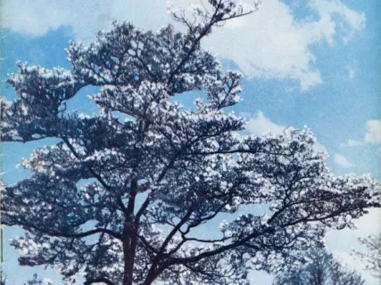 Magazine - The Hudsonian, Vol. 27, No. 3