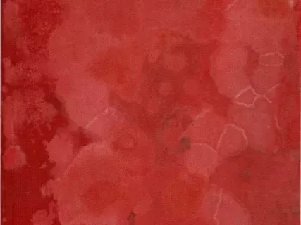 Catalog - Illustrated Price Book No. 30
The Michigan Stove Company