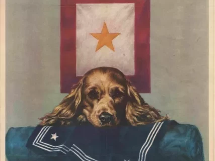 Poster - Because somebody talked!