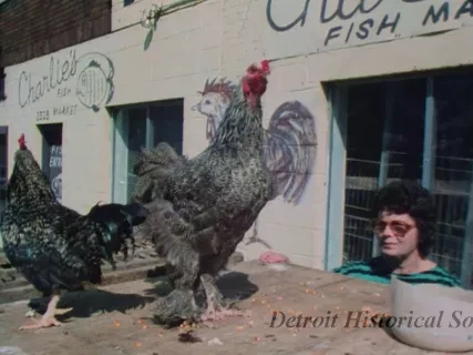 Film, Motion Picture - Urban Comm
Sue City
1 W/P
10508 Neighborhood

Misc Pic's (mos) Neighborhoods
This Is My Home