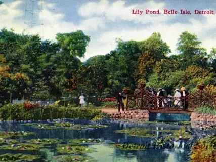 Postcard - Lily Pond, Belle Isle, Detroit, Mich.