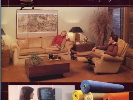 Report, Annual - 1981 Annual Report
La-Z-Boy Chair Company