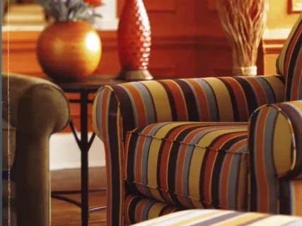 Report, Annual - La-Z-Boy Incorporated 2009 Annual Report