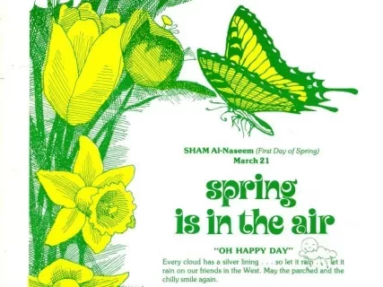 Newsletter - La-Z-News