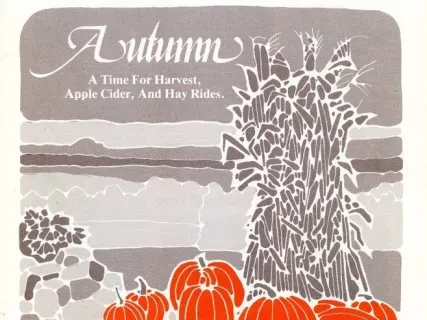 Newsletter - La-Z-News