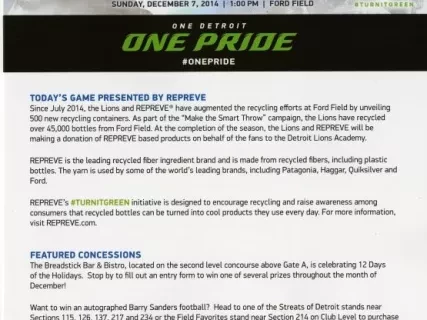 Program - Defend the Den