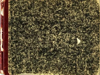 Book, Record - Propositions