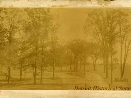 Photograph, Cabinet