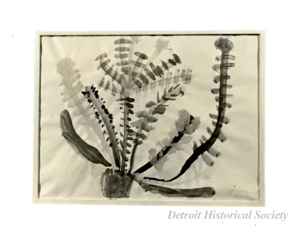 Print, Photographic
