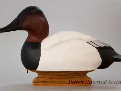 Decoy