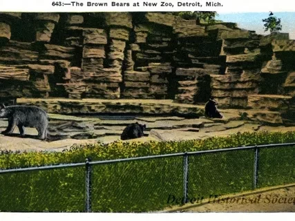 Postcard - 643: - The Brown Bears at New Zoo., Detroit, Mich.