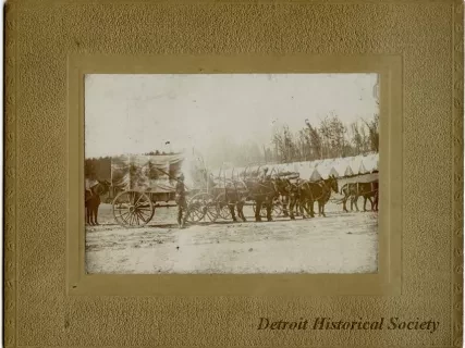 Photograph, Cabinet