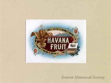 Drawing - Havana Fruit