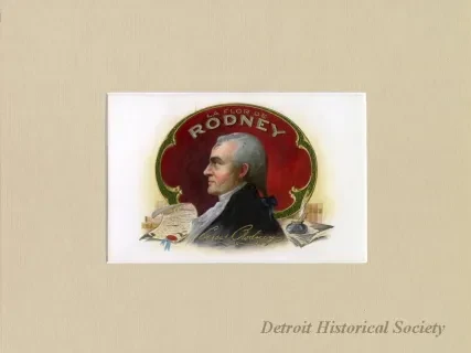 Drawing - La Flor de Rodney