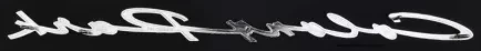 Emblem, Automotive