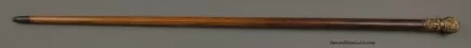 Stick, Walking