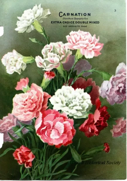 Engraving