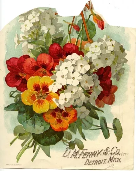 Engraving
