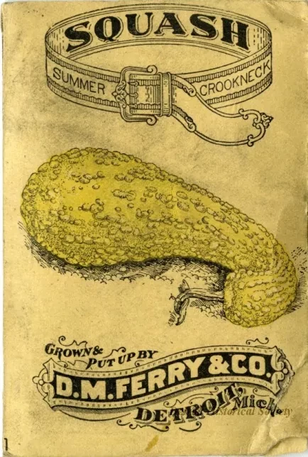 Packet, Seed