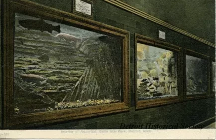 Postcard - Interior of Aquarium, Belle Isle Park, Detroit, Mich.