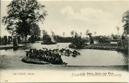 Postcard - Detroit, Mich. Lily Pond, Belle Isle Park