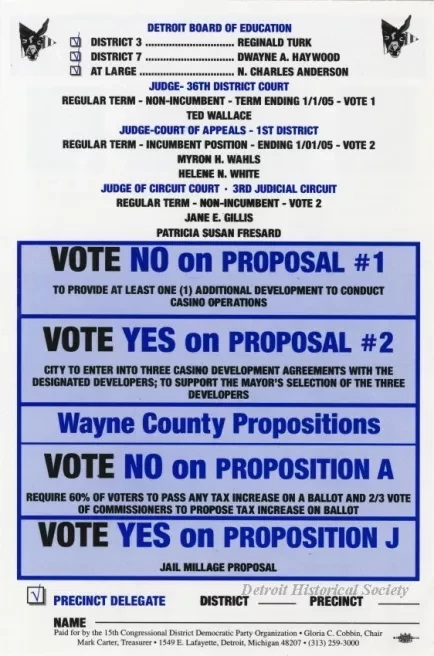 Flyer - The Official 15th Congressional District Democratic Party Organization Slate