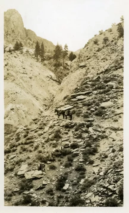 Print, Photographic