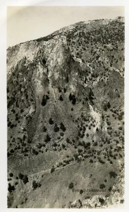 Print, Photographic