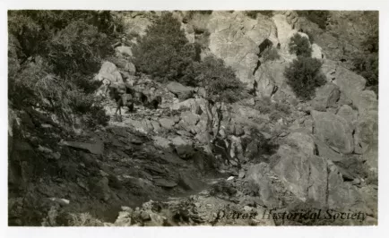 Print, Photographic