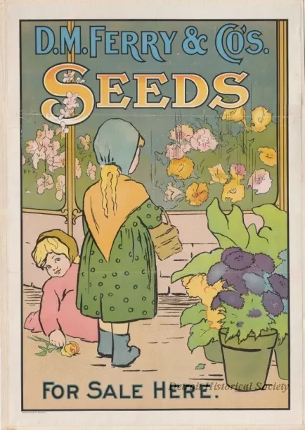Poster - D. M. Ferry & Co.'s Seeds - For Sale Here