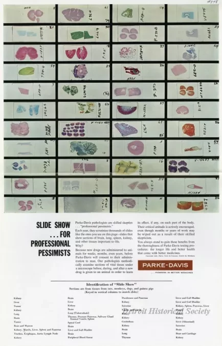 Advertisement