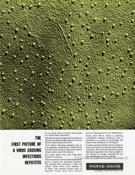 Advertisement