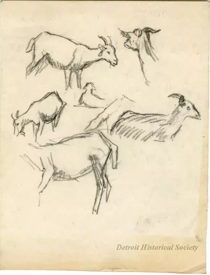 Drawing