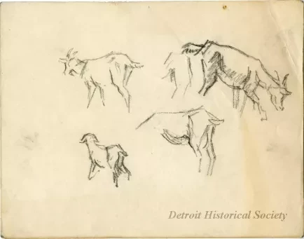 Drawing