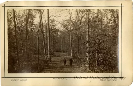 Print, Photographic - Forest Avenue