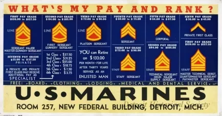 Poster, Informational - What's My Pay and Rank?