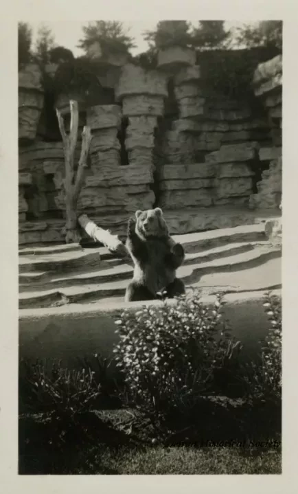 Print, Photographic