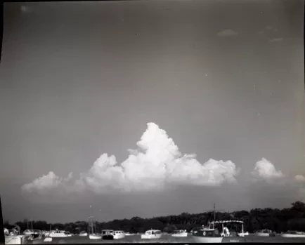 Negative, Film