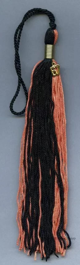 Tassel, Academic