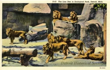 Postcard - D-53 The Lion Den in Zoological Park, Detroit, Mich.