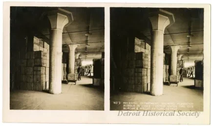 Stereoview