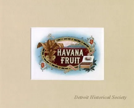 Drawing - Havana Fruit