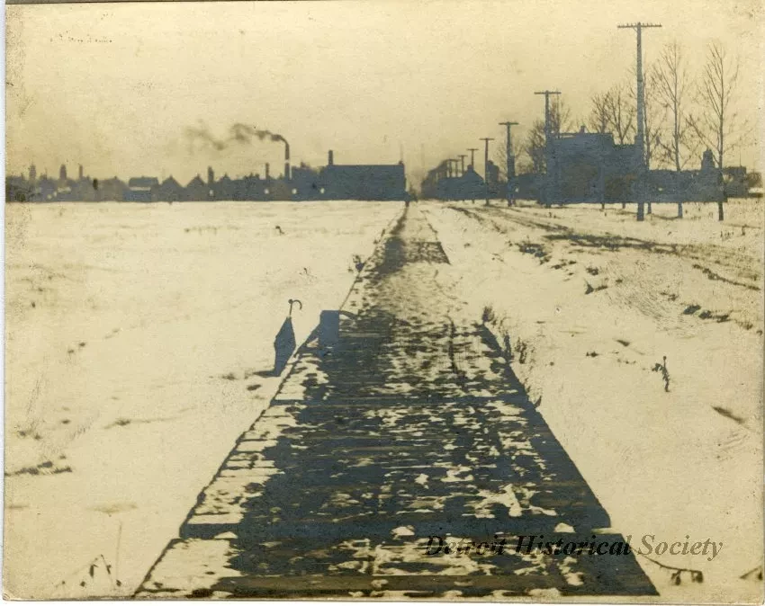 Print, Photographic