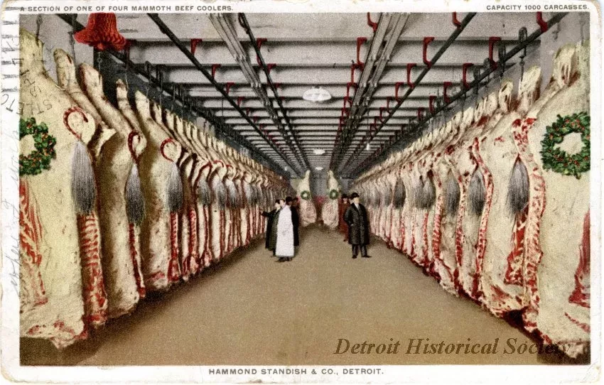 Postcard - Hammond Standish & Co., Detroit. A Section of One of Four Mammoth Beef Coolers. Capacity 1000 Carcasses.