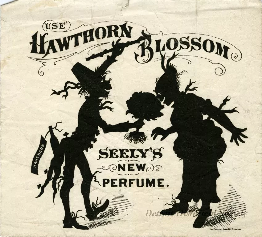 Advertisement