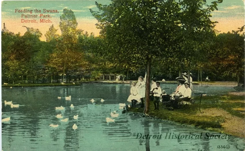 Postcard - Feeding the Swans, Palmer Park, Detroit, Mich.